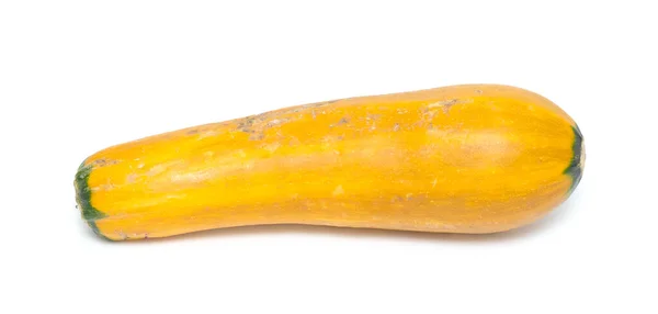 Zucchine Mature Gialle Sfondo Bianco — Foto Stock