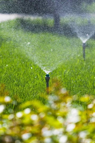 ボケ背景と緑の芝生に散水灌漑システム — ストック写真