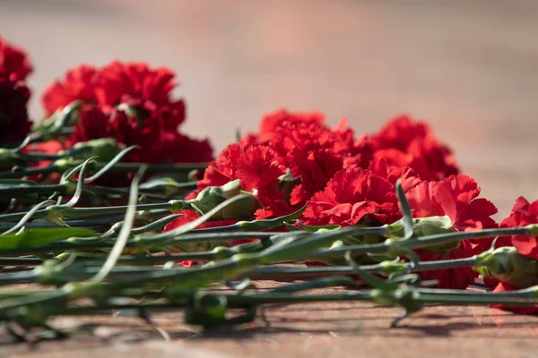 Fleurs Oeillet Rouge Sont Grand Bouquet — Photo