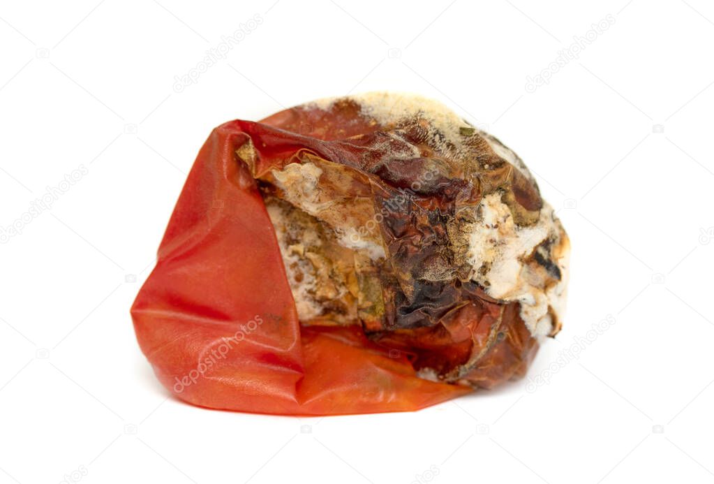 Mold on a red tomato isolated on white. Spoiled food is rotten vegetables.