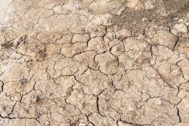 Kurutulmuş kırık toprak gri arka plan
