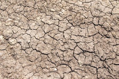 Kurutulmuş kırık toprak gri arka plan