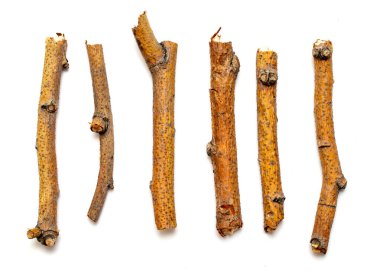 Beyaz arka planda yalıtılmış kuru dalları makro ağaçları. Bir dizi snags.