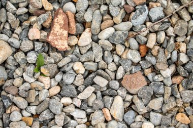 Yuvarlak deniz çakıl arka plan.