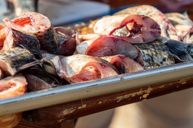 Masanın üzerinde, balığı teraziden temizle ve bağırsaklarını çıkar. Balığı temizlemek için bıçak kullanan taze balık filetosu. Deniz ürünleri pişirme.