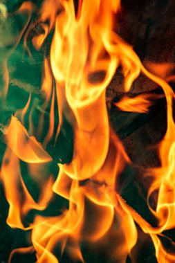Abstract background, bright flame of fire, burnt pieces of wood.