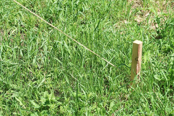 Wooden Stake Ground Rope Green Grass — Stock Photo, Image