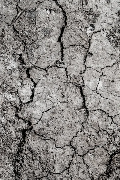 Achtergrond Gekraakte Aarde Zwarte Aarde Textuur — Stockfoto