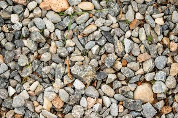 Sea Pebbles Background — Stock Photo, Image