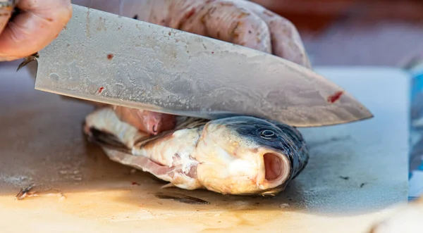 On the table, clean the fish from the scales and remove the entrails. Peeling and fillet of fresh fish that use a knife to clean the fish. Seafood cooking.