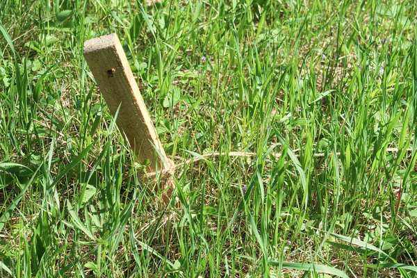 Wooden Stake Ground Rope Green Grass — Stock Photo, Image