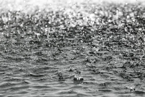 ぼやけた背景で背景を飛散する水の大きな滴 — ストック写真