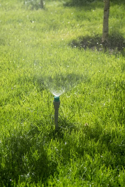 以博克为背景的灌溉系统浇灌绿草 — 图库照片