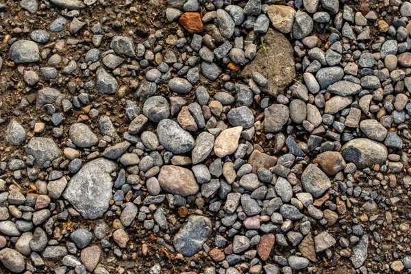 Runde Hav Småsten Baggrund - Stock-foto