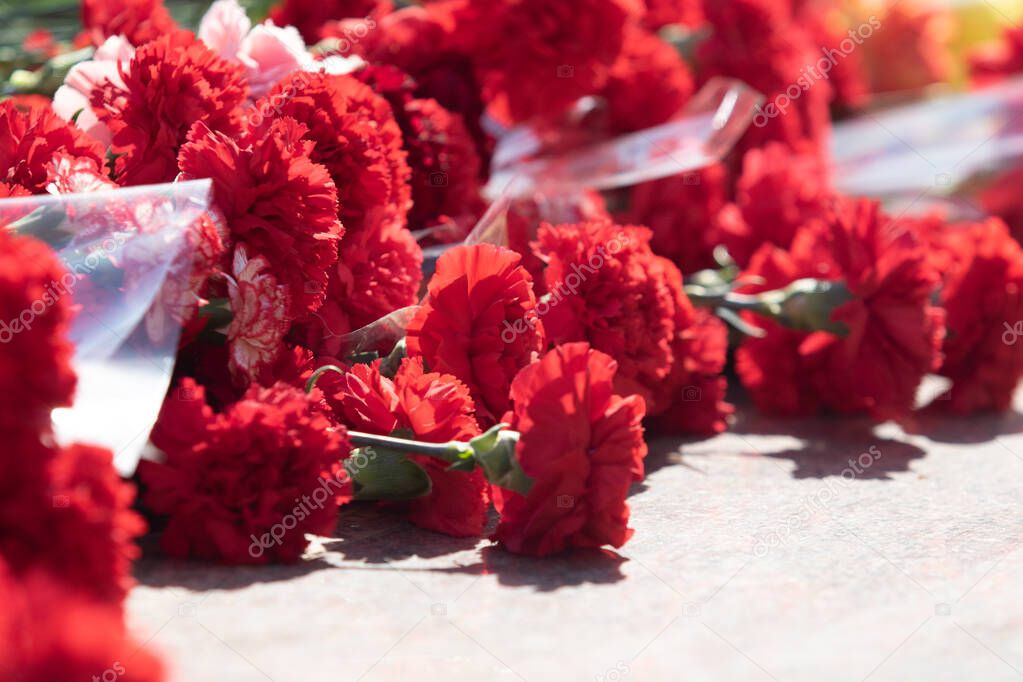 Red carnation flowers are a great bouquet.