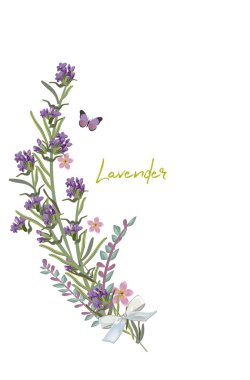 Arka planlar ile yaz ve bahar çiçek tebrik dizi. Çiçek süslemeleri peonies, gül ve yıldızçiçeği. Vektör çizim.