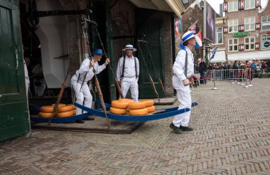 Alkmaar, Hollanda - 21 Nisan 2017: Alkmaar, Hollanda ünlü Hollandalı peynir pazarında birçok peynir ile yürüyüş uçak gemisi. Waagplein Meydanı'nda olay olur. 