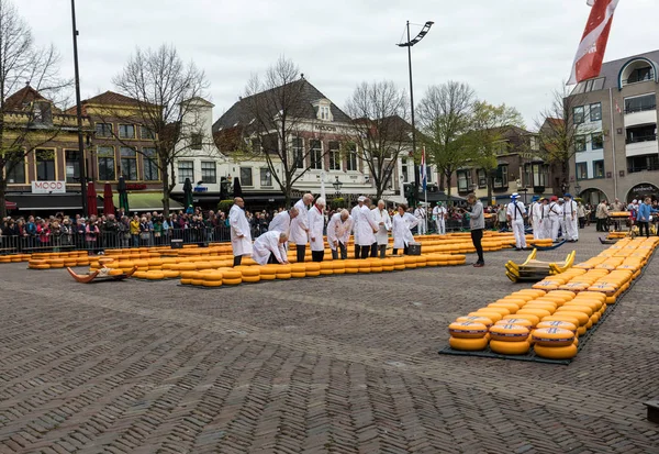 stock image ALKMAAR, THE NETHERLANDS - APRIL 21, 2017: Typical cheese market in the city of Alkmaar in Netherlands, one of the only four traditional Dutch cheese markets still in existence and one of the country's most popular tourist attractions. 