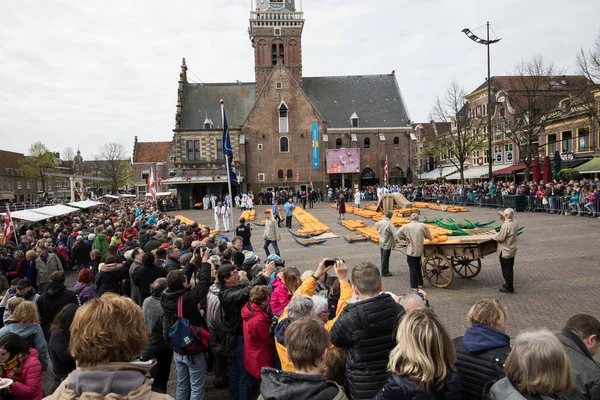 Alkmaar, Hollanda - 21 Nisan 2017: Tipik peynir pazarı şehir Alkmaar Hollanda, sadece dört geleneksel Hollanda peynir piyasalarda hala varlığını ve bir ülkenin en popüler turistik. 