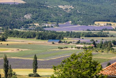 Çiftçinin alanları aşağıda Sault, Provence Fransa Vadisi'nde patchwork
