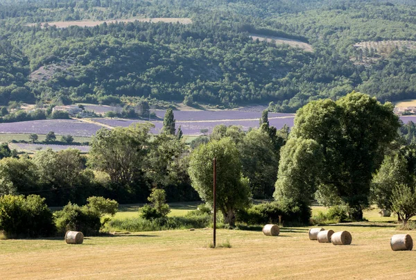 Fält Och Ängar Dalen Nedanför Sault Provence Frankrike — Stockfoto