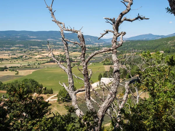 Pole Louky Údolí Pod Saultem Provence Francie — Stock fotografie