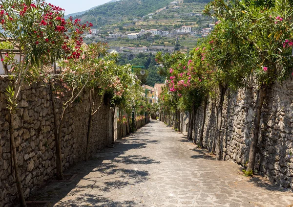 Una Estrecha Calle Empinada Con Adelfas Florecientes Ravello Costa Amalfitana — Foto de Stock