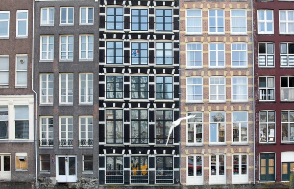 Typické Domy Ulici Damrak Amsterdamu Holandsko Nizozemí — Stock fotografie