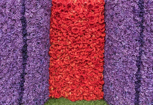 Abstracte Achtergrond Close Van Het Met Kleurrijke Tulpen Hyacinten — Stockfoto