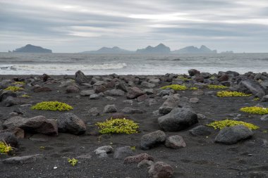 İzlanda güney kıyılarında siyah beach Landeyjarsandur ve Vestmannaeyjar Adaları ile. Arka planda Westmann Adaları