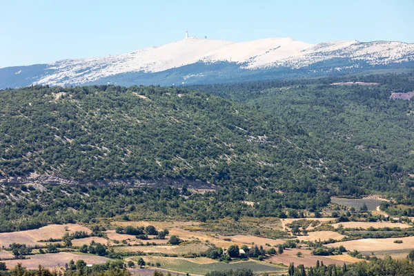 Fält Och Ängar Dalen Nedanför Sault Provence Frankrike — Stockfoto