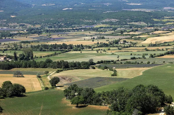 Συνονθύλευμα Των Πεδίων Του Αγρότη Στην Κοιλάδα Κάτω Sault Provence — Φωτογραφία Αρχείου