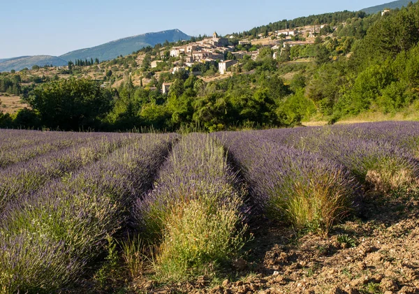 Ein Lavendelfeld Mit Dem Dorf Von Aurel Jenseits Dem Vaucluse — Stockfoto
