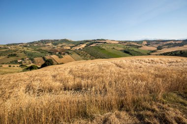 Abruzzo tepeler haddeleme Tarih Zeytinlik ve manzarayı çiftlikleri. İtalya