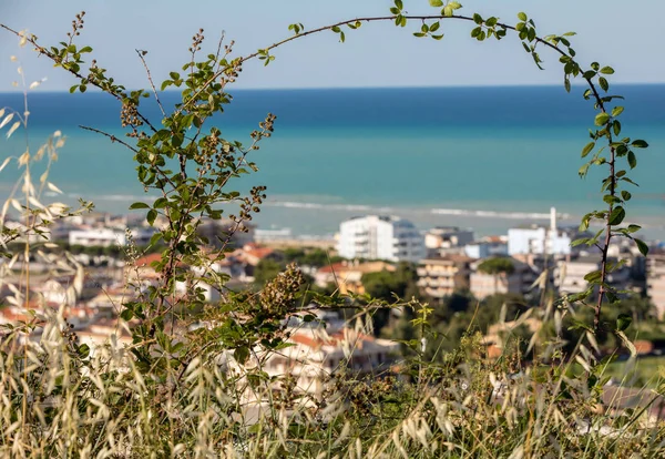 Roseto Degli Abruzzi Abruzzen Italië Roseto Degli Abruzzi Ook Bekend — Stockfoto