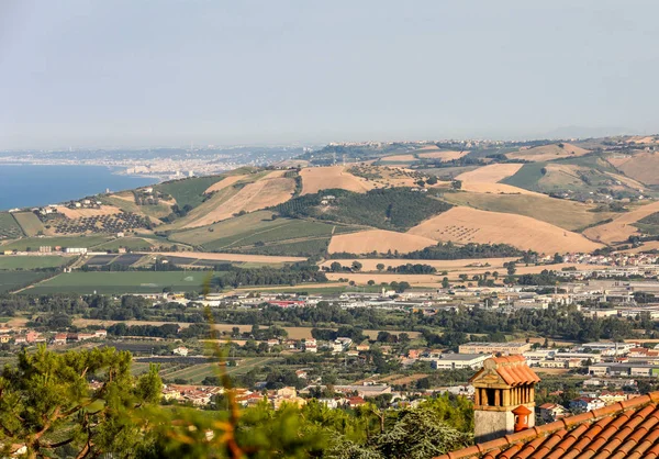 Panoramablick Auf Olivenhaine Und Bauernhöfe Auf Den Sanften Hügeln Der — Stockfoto