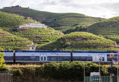 Tain l'Hermitage, Fransa - 28 Haziran 2017: M. görünümünü Chapoutier Crozes-Hermitage üzüm bağları Tain l'Hermitage, Rhone Vadisi, Fransa
