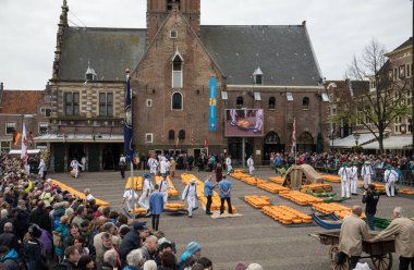 Alkmaar, Hollanda - 21 Nisan 2017: Tipik peynir pazarı şehir Alkmaar Hollanda, sadece dört geleneksel Hollanda peynir piyasalarda hala varlığını ve bir ülkenin en popüler turistik. 