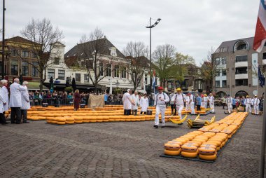 Alkmaar, Hollanda - 21 Nisan 2017: Alkmaar, Hollanda ünlü Hollandalı peynir pazarında birçok peynir ile yürüyüş uçak gemisi. Waagplein Meydanı'nda olay olur. 