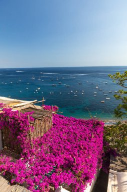 Positano pembe begonviller ve tekne içinde belgili tanımlık geçmiş tarafından çerçeveli. Renkli Positano, Amalfi Coast, rengarenk evleri ve binaları ile mücevheri deniz manzaralı geniş bir tepe üzerinde tünemiş. İtalya