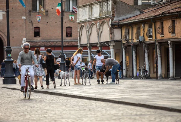 Ferrara Włochy Czerwca 2017 Piazza Trento Trieste Ferrara Italy Square — Zdjęcie stockowe