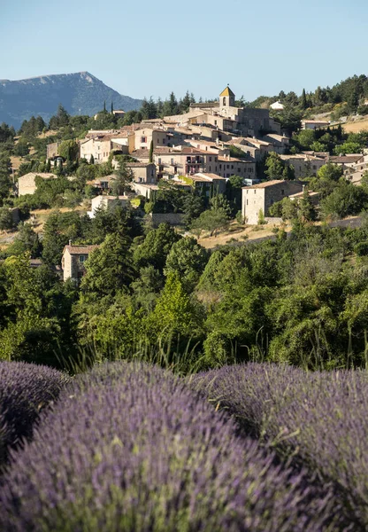 Ein Lavendelfeld Mit Dem Dorf Von Aurel Jenseits Dem Vaucluse — Stockfoto