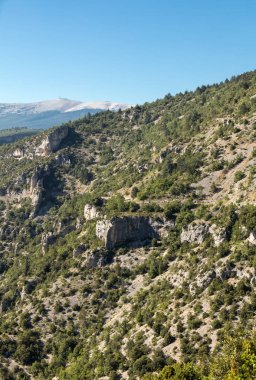 Vaucluse Provence ve Mont Ventoux içinde belgili tanımlık geçmiş bölümünde manzara. Fransa