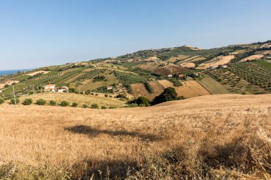 Abruzzo tepeler haddeleme Tarih Zeytinlik ve manzarayı çiftlikleri 
