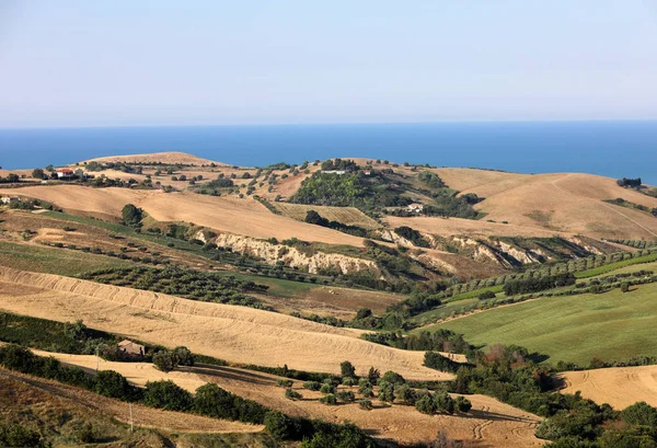 Panorámás Kilátás Nyílik Olajfaligetek Gazdaságok Dombok Abruzzo Háttérben Adriai Tengerre — Stock Fotó