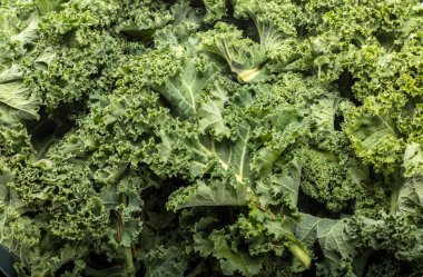 Sağlıklı taze kıvırcık lahana