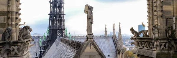 Chimeras Gargoyle Della Cattedrale Notre Dame Paris Con Vista Parigi — Foto Stock