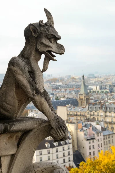 Chimeras Gargoyle Della Cattedrale Notre Dame Paris Con Vista Parigi — Foto Stock