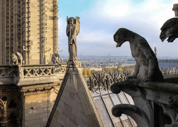 Chimeras Gargoyles Katedralen Notre Dame Paris Med Utsikt Över Paris — Stockfoto
