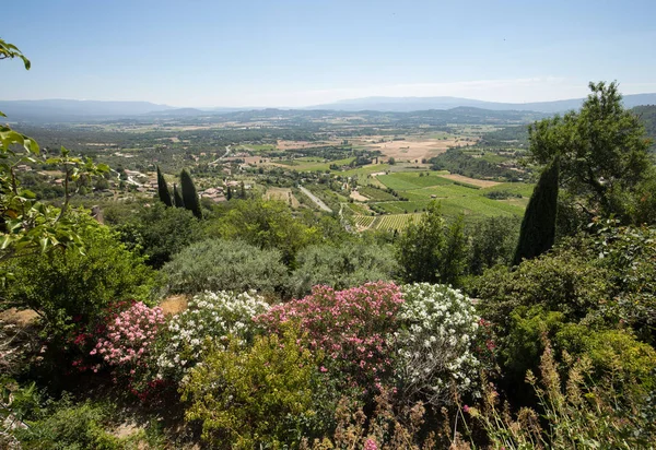 Campos Prados Valle Bajo Gordes Provenza Francia — Foto de Stock